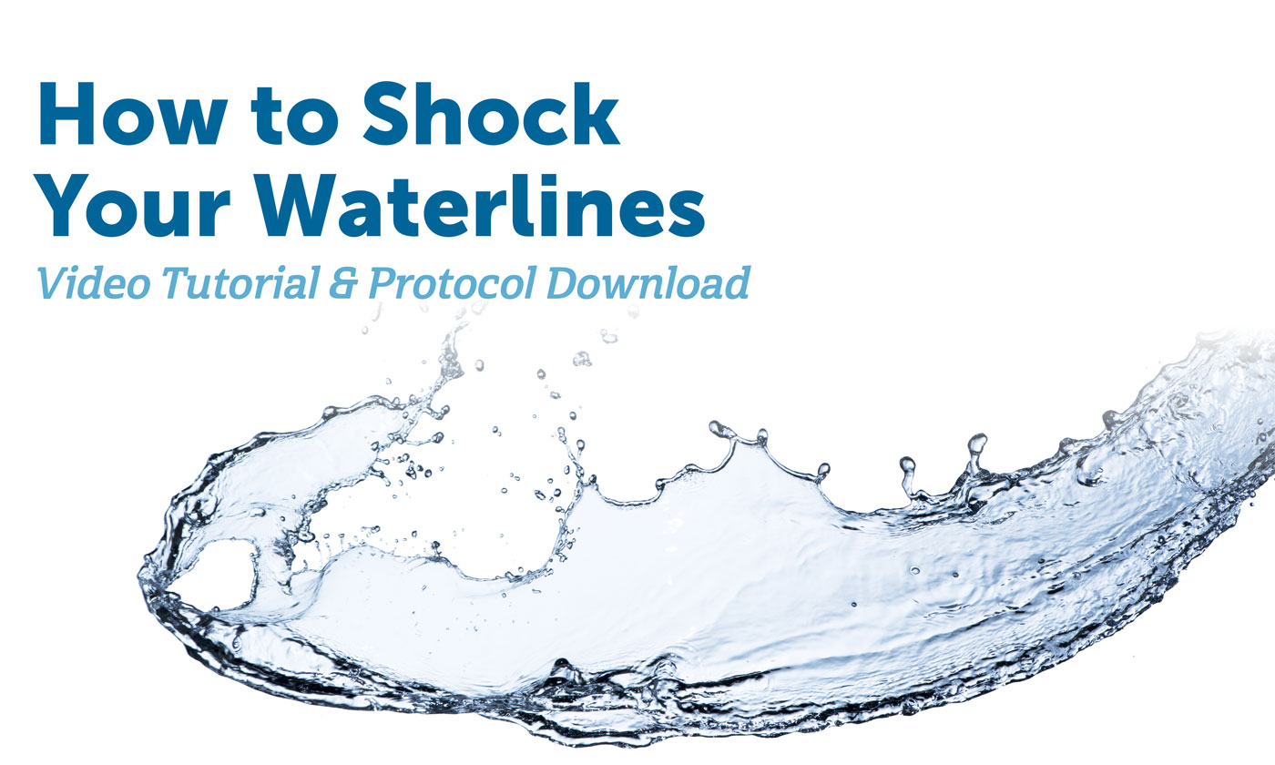 How To Shock Your Dental Unit Waterlines